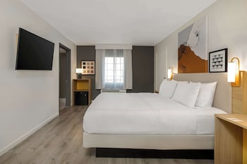 Room, 1 King Bed, Accessible, Bathtub (Mobility, Hearing)
