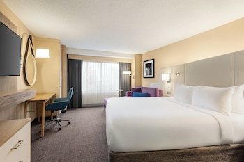Standard Room, 1 King Bed, Accessible (Accessible Tub)