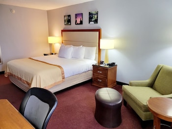 Dog Friendly Deluxe King Room