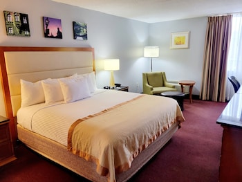 Dog Friendly Deluxe King Room