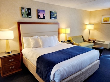 Standard Single Room, 1 King Bed, Non Smoking