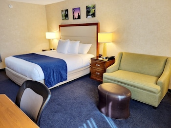 Standard Single Room, 1 King Bed, Non Smoking