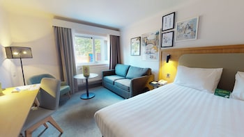 Standard Room, 1 King Bed with Sofa bed