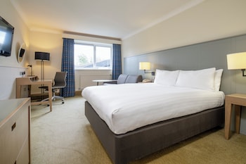 Standard Room, 1 King Bed with Sofa bed