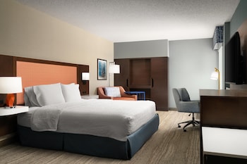 Room, 1 King Bed, Accessible (Roll-In Shower)