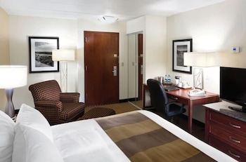 Room, 1 Queen Bed, Non Smoking