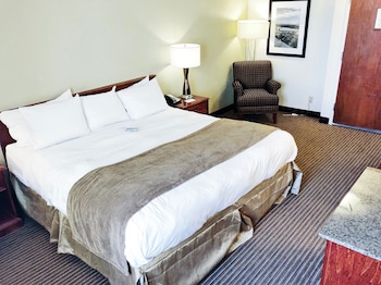 Room, 1 King Bed, Non Smoking