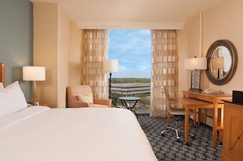 Room, 1 King Bed (Mobility/Hearing Access, Roll-In Shwr)