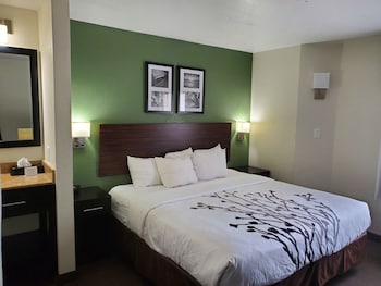 Standard Room, 1 King Bed, Non Smoking