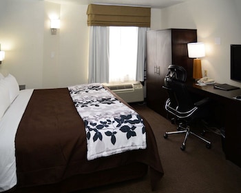 Standard Room, 1 King Bed, Non Smoking