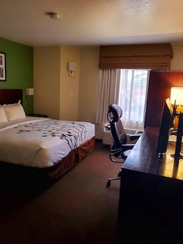 Room, 1 King Bed, Accessible, Non Smoking