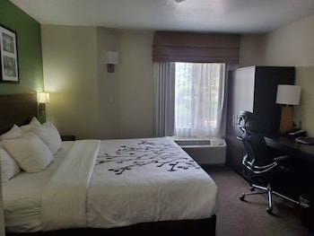 Standard Room, 1 King Bed, Non Smoking