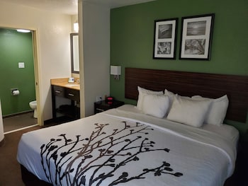 Standard Room, 1 King Bed, Non Smoking
