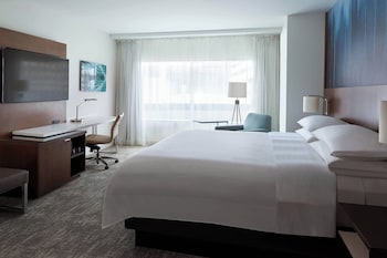 Room, 1 King Bed