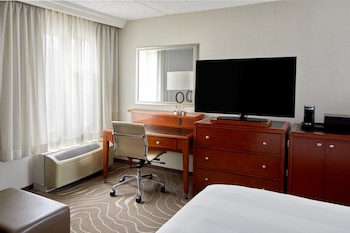 Room, 1 King Bed with Sofa bed
