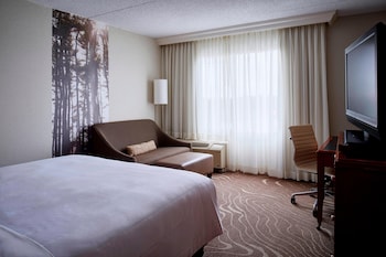 Room, 1 King Bed (Mobility Accessible, Tub)