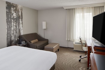 Room, 1 King Bed with Sofa bed