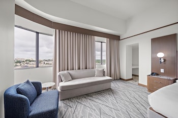 Suite, 1 King Bed