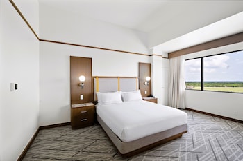 Premium Room, 1 King Bed, Accessible (Roll-In Shower)