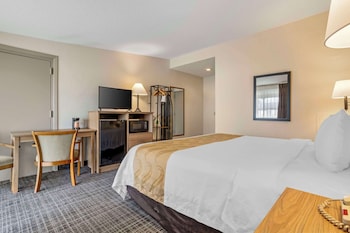 Standard Room, 1 King Bed, Non Smoking