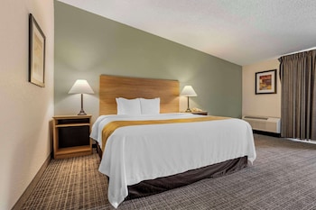 Suite, 1 King Bed with Sofa bed, Non Smoking