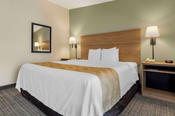 Standard Room, 1 King Bed, Non Smoking