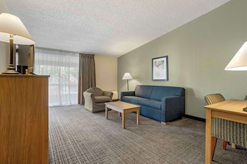 Suite, 1 King Bed with Sofa bed, Non Smoking
