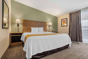 Standard Room, 1 King Bed, Non Smoking