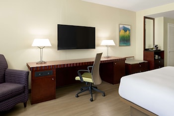 Room, 1 King Bed, Accessible, City View (Mobility & Hearing, Bathtub)