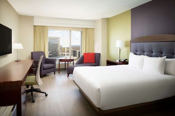 Room, 1 King Bed, Accessible, City View (Mobility & Hearing, Bathtub)