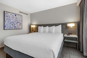 Room, 1 King Bed, Non Smoking (with Sofabed)