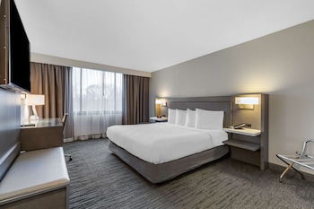 Standard Room, 1 King Bed, Non Smoking, Refrigerator & Microwave