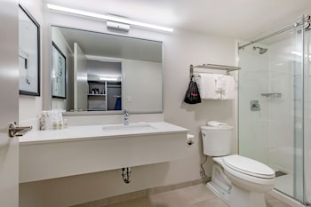 Suite, 1 King Bed, Non Smoking, Refrigerator & Microwave (with Sofabed)