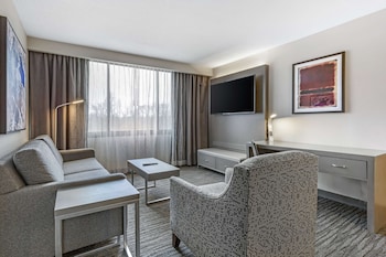 Room, 1 King Bed, Non Smoking (with Sofabed)