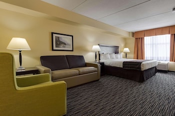 Studio Suite, 1 King Bed with Sofa bed, Non Smoking