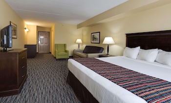 Studio Suite, 1 King Bed with Sofa bed, Non Smoking