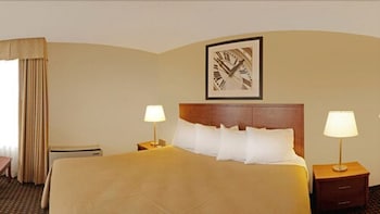 Standard Room, 1 King Bed with Sofa bed, Non Smoking