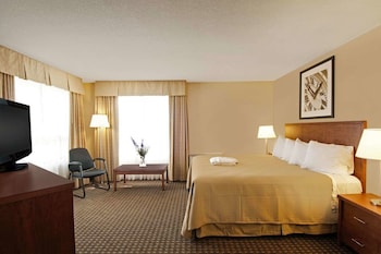 Standard Room, 1 King Bed with Sofa bed, Non Smoking