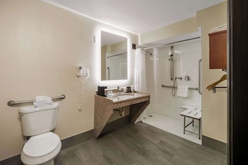 Room, 1 King Bed, Accessible, Non Smoking