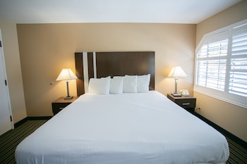 Room, 1 King Bed