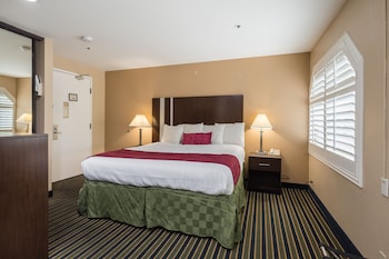 Room, 1 King Bed