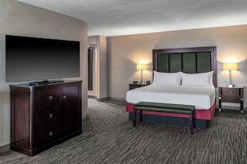 Room, 1 King Bed with Sofa bed, River View