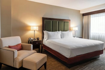 Room, 1 King Bed with Sofa bed, River View