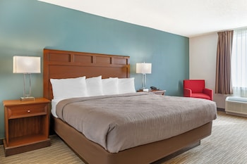 Room, 1 King Bed, Roll-in Shower