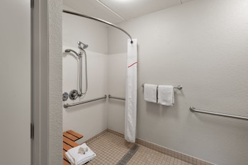 Standard Room, 1 King Bed, Accessible (Smoke Free, Roll-In Shower)