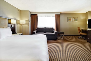 Room, 1 King Bed
