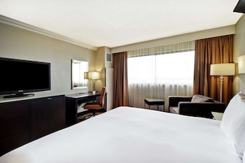 Room, 1 King Bed
