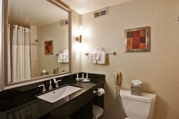 Room, 1 King Bed