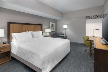Room, 1 King Bed