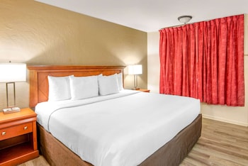 Room, 1 King Bed, Non Smoking